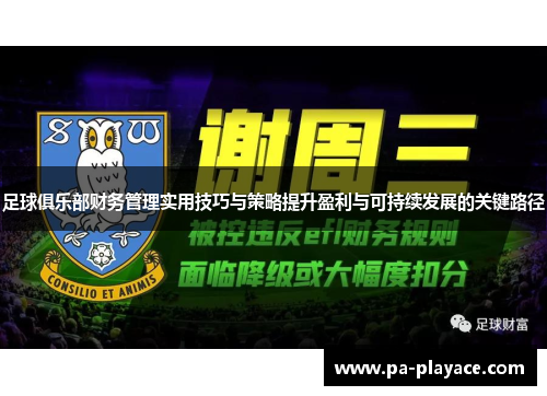 足球俱乐部财务管理实用技巧与策略提升盈利与可持续发展的关键路径