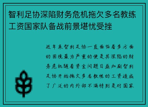 智利足协深陷财务危机拖欠多名教练工资国家队备战前景堪忧受挫